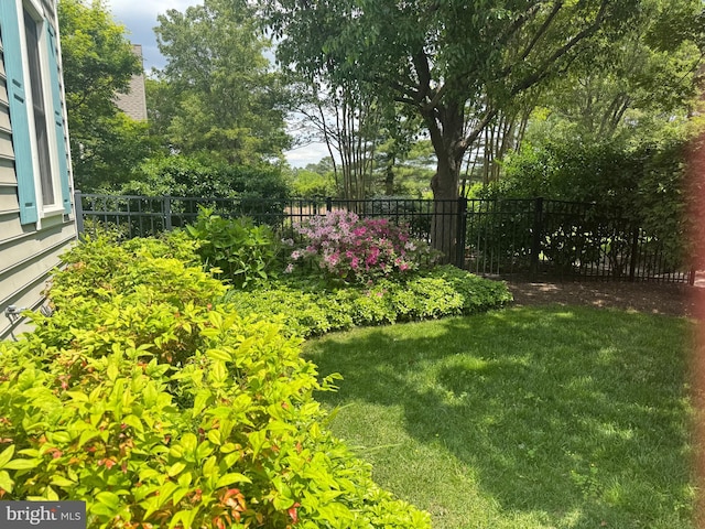 28527 Augusta Ct, Easton, MD 21601 - view of yard