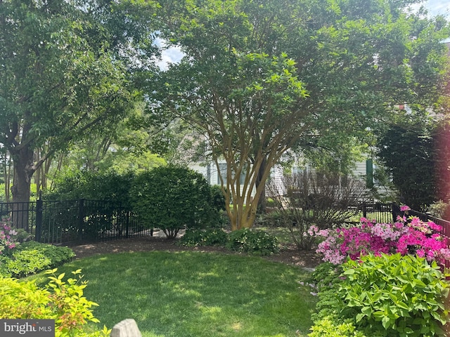 28527 Augusta Ct, Easton, MD 21601 - view of yard