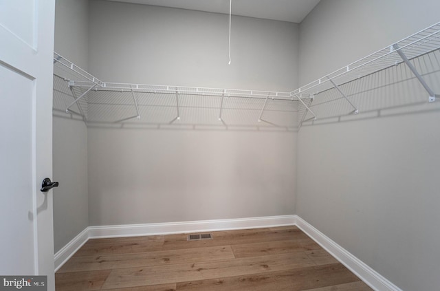 walk in closet with hardwood / wood-style flooring