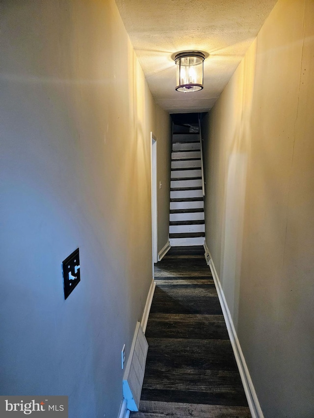 staircase featuring hardwood / wood-style floors