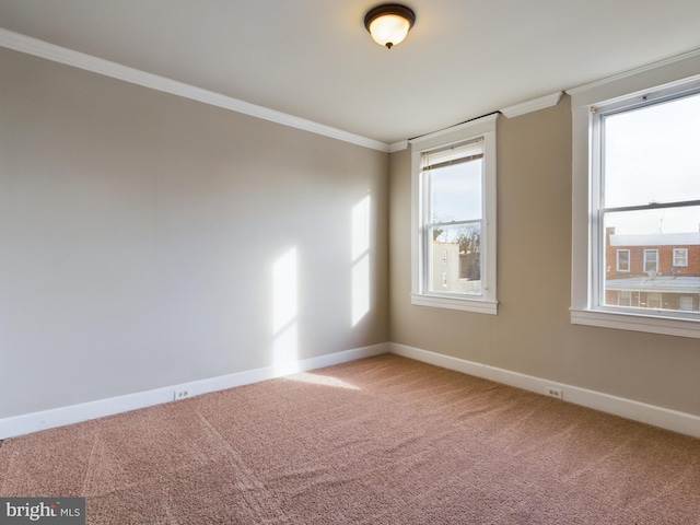 empty room featuring carpet floors and crown molding