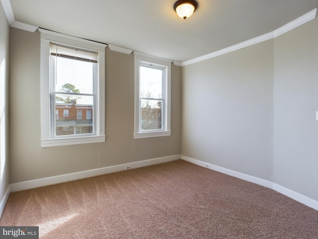 unfurnished room featuring carpet and ornamental molding