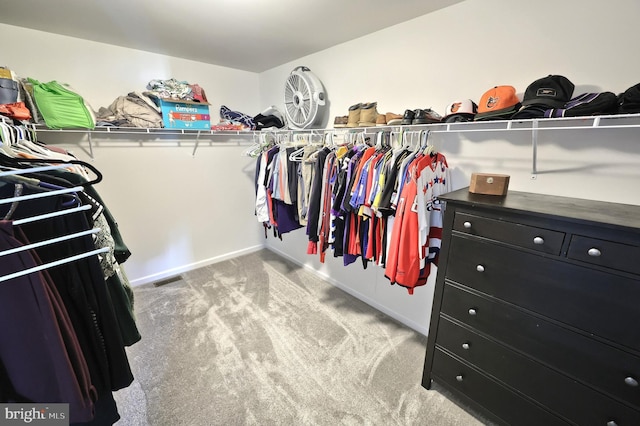 spacious closet with light carpet