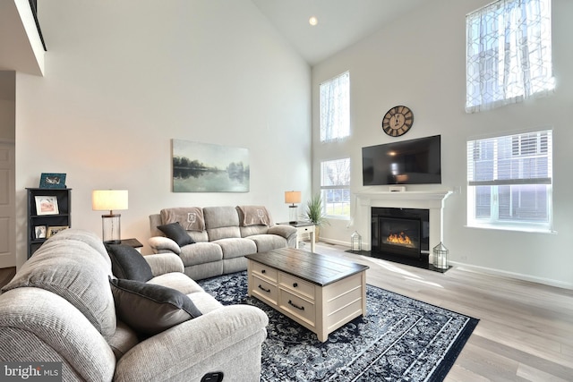 living room featuring high vaulted ceiling and light hardwood / wood-style flooring