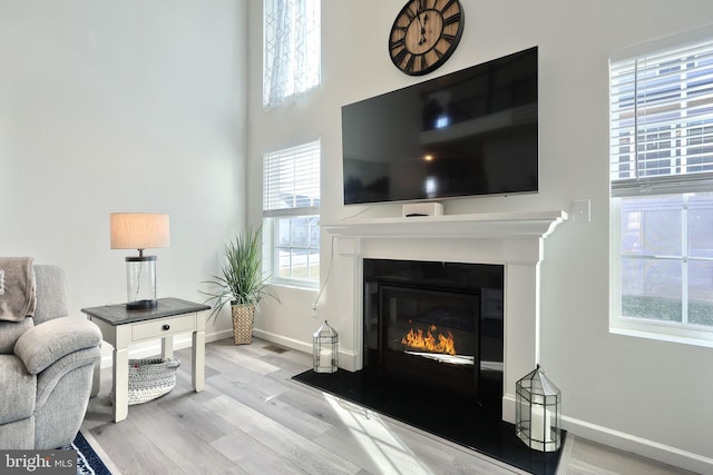 living room featuring light hardwood / wood-style flooring