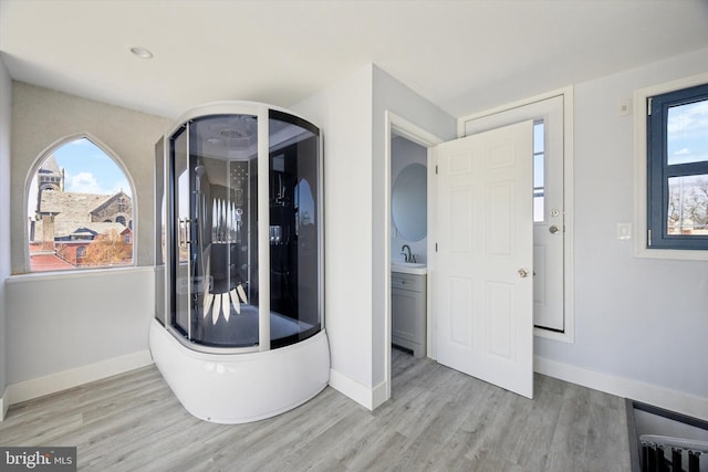 clothes washing area featuring light wood-type flooring, sink, and a wealth of natural light