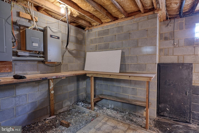 basement featuring electric panel