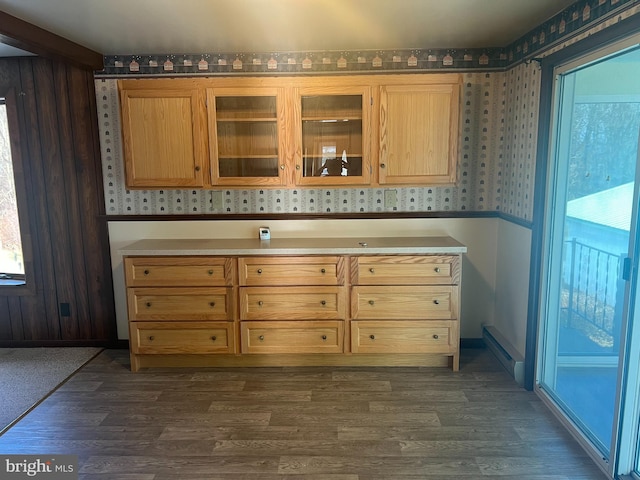 kitchen featuring light brown cabinetry and dark hardwood / wood-style flooring