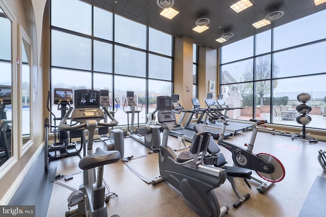 workout area featuring expansive windows, a paneled ceiling, plenty of natural light, and a towering ceiling