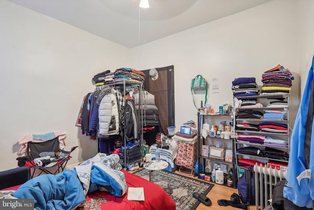 walk in closet featuring hardwood / wood-style floors