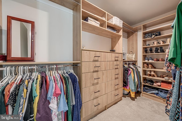 spacious closet featuring light colored carpet