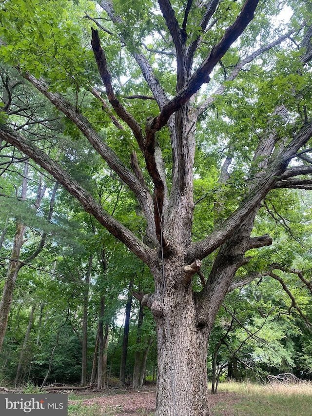 view of nature