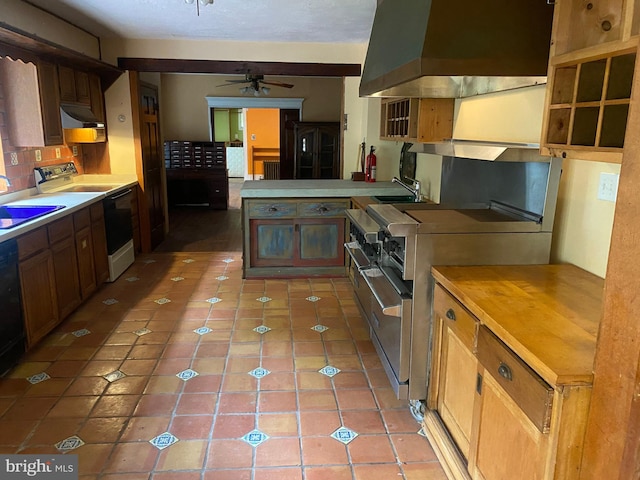 kitchen featuring electric range, ceiling fan, range hood, high end stove, and decorative backsplash