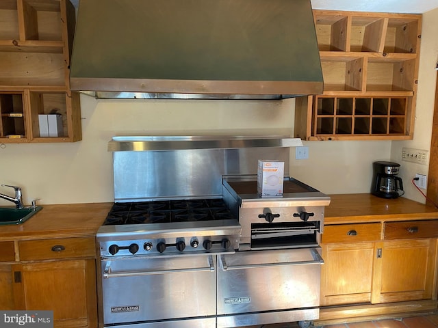 kitchen with extractor fan, high end stainless steel range, and sink