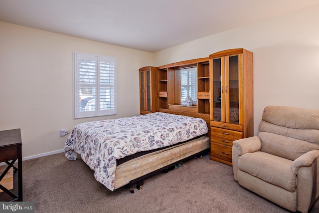 bedroom featuring carpet floors and multiple windows