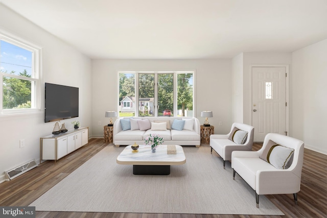 living room featuring hardwood / wood-style flooring