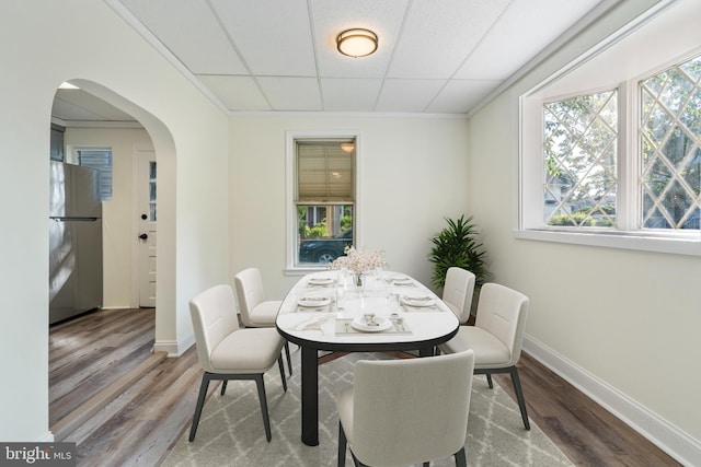 dining space featuring a healthy amount of sunlight, wood-type flooring, and ornamental molding