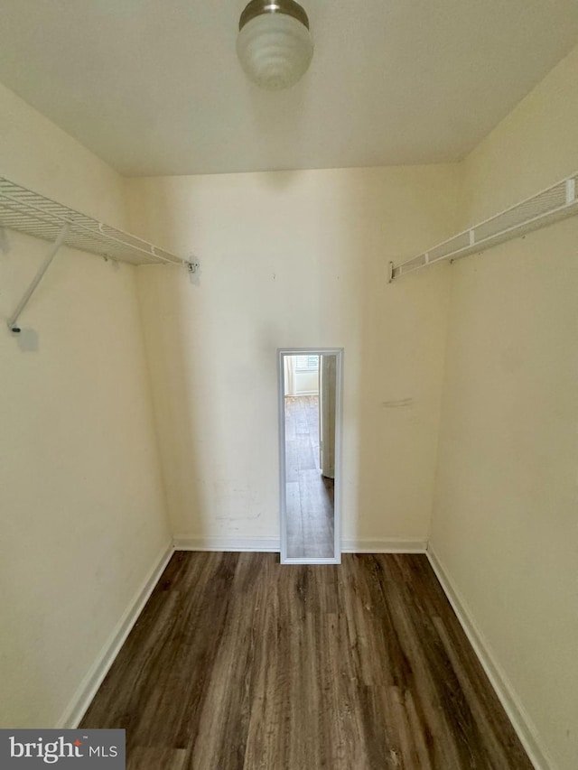 spacious closet featuring dark wood-type flooring