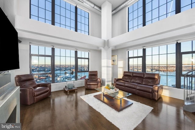 living room with a high ceiling, dark hardwood / wood-style floors, and plenty of natural light