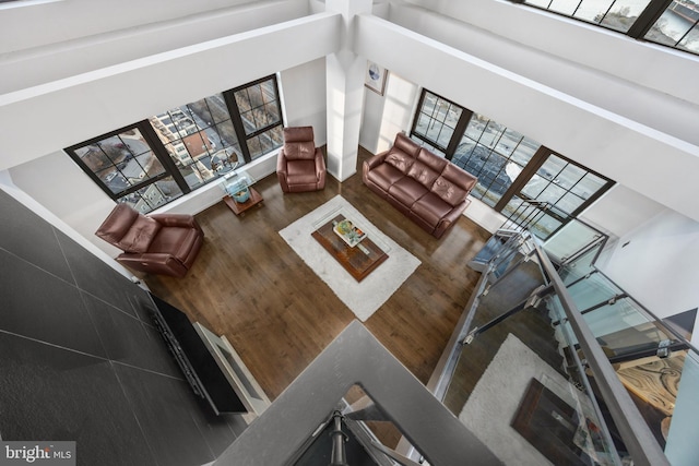 living room with hardwood / wood-style flooring and a high ceiling