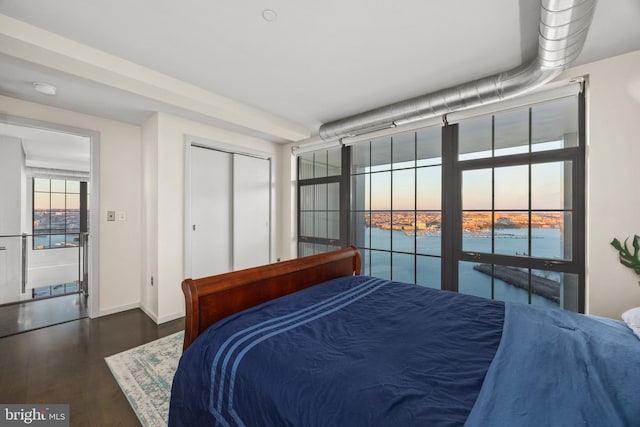 bedroom with a closet, a water view, and dark wood-type flooring