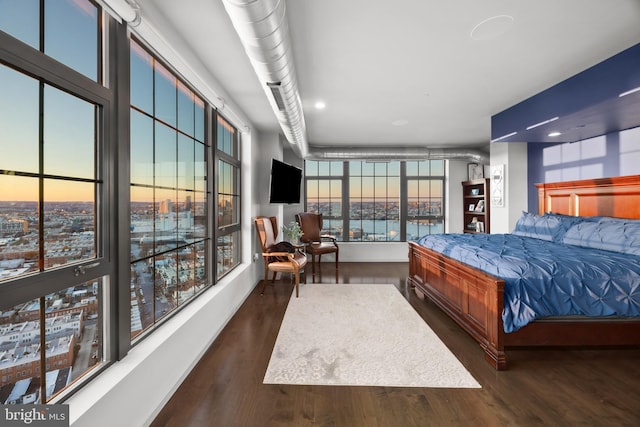 bedroom featuring dark hardwood / wood-style flooring