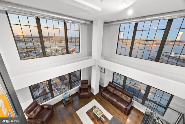 living room featuring dark hardwood / wood-style flooring