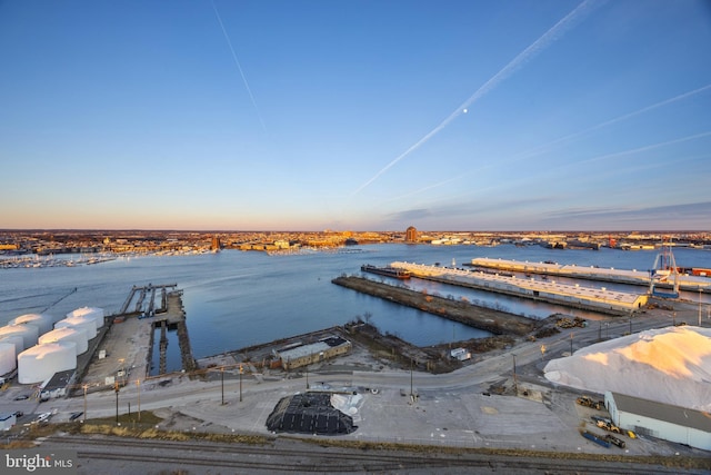 dock area with a water view