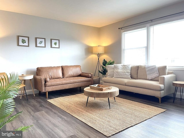 living room featuring hardwood / wood-style flooring