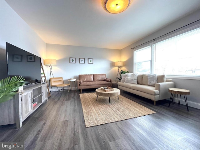 living room featuring dark hardwood / wood-style floors