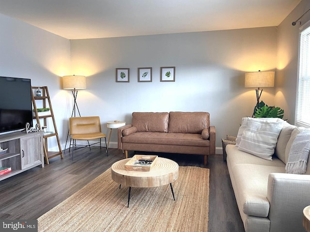 living room featuring dark hardwood / wood-style flooring