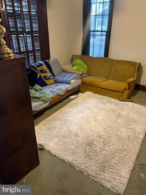 living room featuring carpet floors