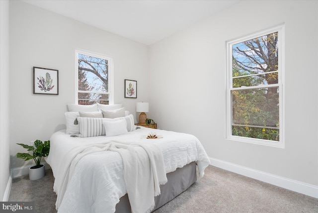 bedroom with multiple windows and carpet floors