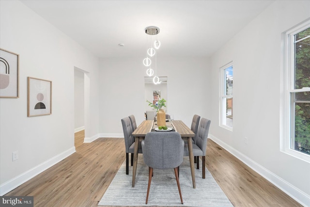 dining room featuring light hardwood / wood-style floors