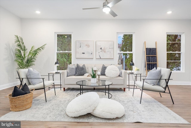 living room featuring ceiling fan and hardwood / wood-style floors