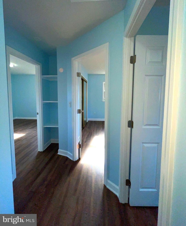 hall with dark hardwood / wood-style floors