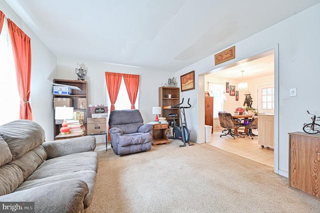 living room with carpet and a wealth of natural light