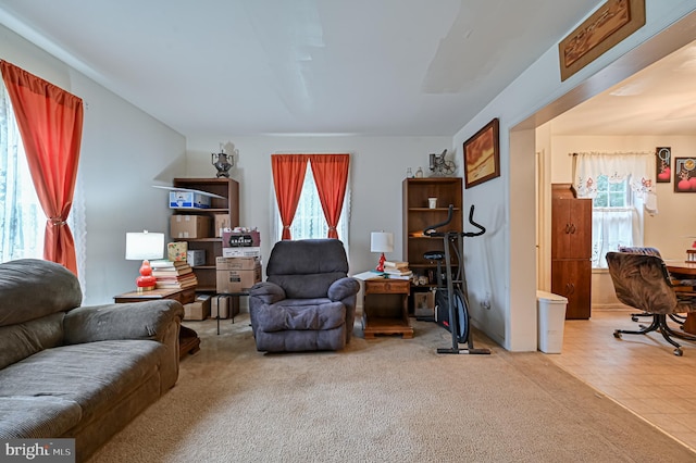 living room with carpet floors and plenty of natural light