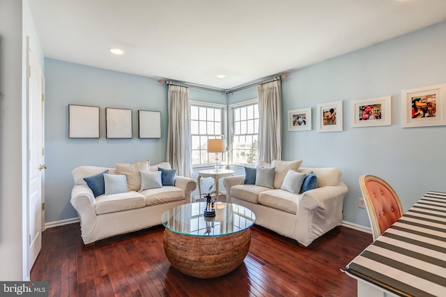 living room with dark wood-type flooring