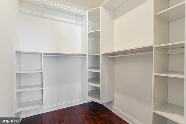 spacious closet with hardwood / wood-style flooring