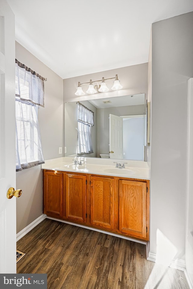 bathroom featuring wood-type flooring and vanity