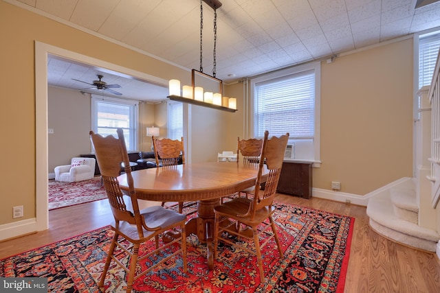 dining room featuring ceiling fan, wood-type flooring, and ornamental molding