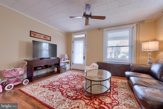 living room featuring crown molding, ceiling fan, and wood-type flooring