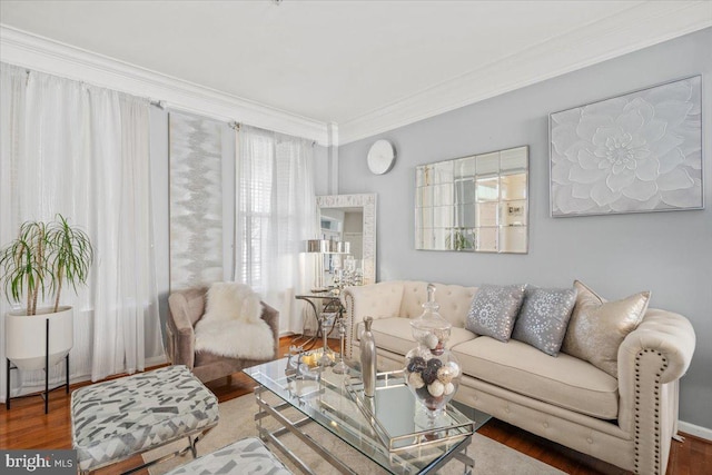 living room with ornamental molding and hardwood / wood-style flooring