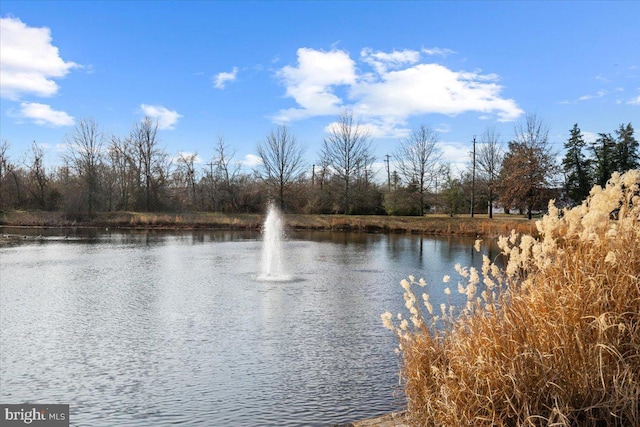 property view of water