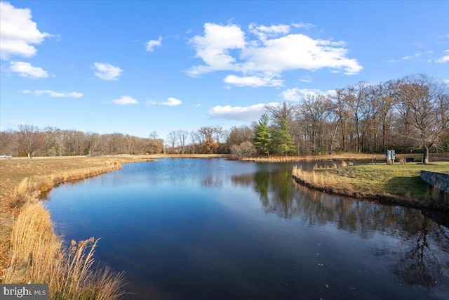 property view of water