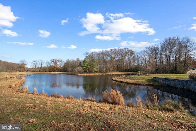 view of water feature