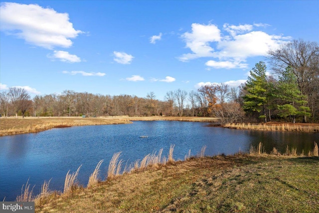 water view