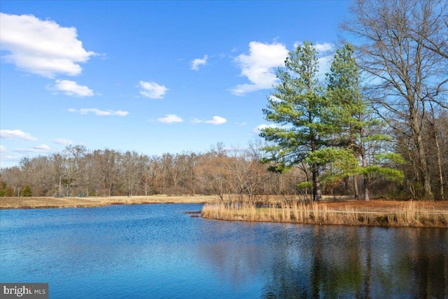 property view of water