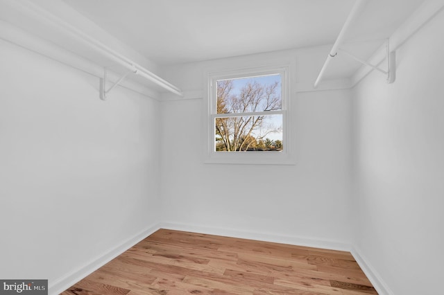 spacious closet featuring hardwood / wood-style flooring